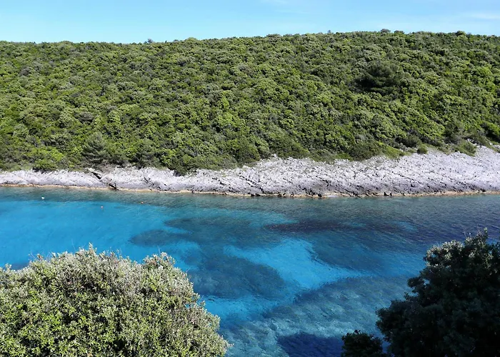 Seaside Secluded Cove Rasohatica, Korcula - 5453 Apartament *