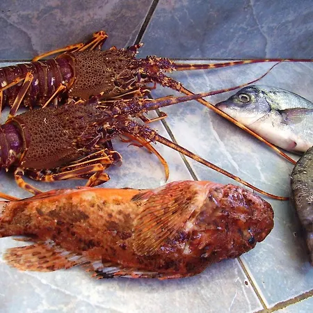 Seaside Secluded Cove Rasohatica, Korcula - 5453 Zrnovo