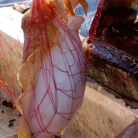 Апартаменты Seaside Secluded Cove Rasohatica, Korcula - 5453