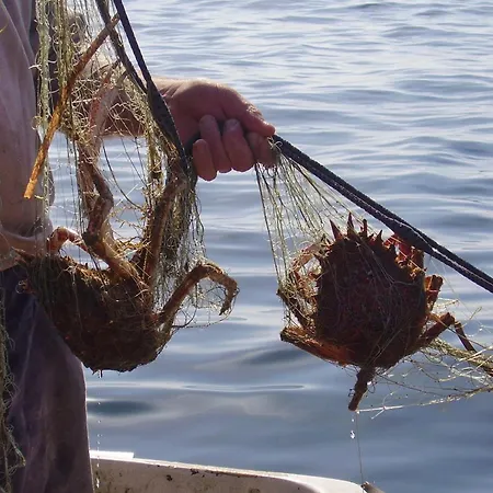 Seaside Secluded Cove Rasohatica, Korcula - 5453 شقة