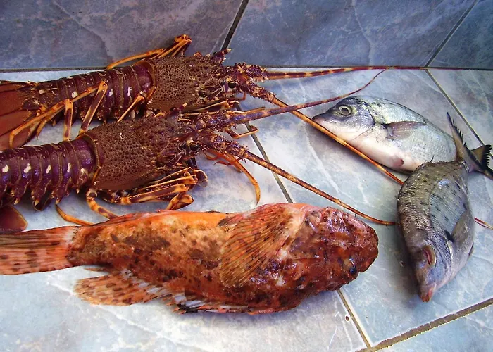 Seaside Secluded Cove Rasohatica, Korcula - 5453 Zrnovo