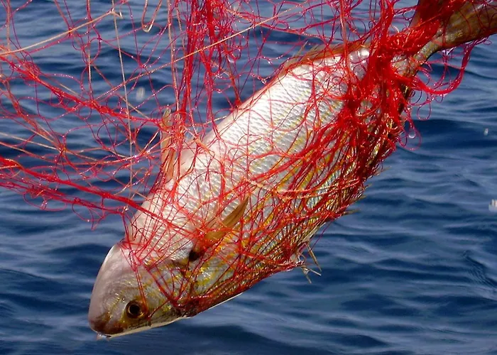Seaside Secluded Cove Rasohatica, Korcula - 5453 *