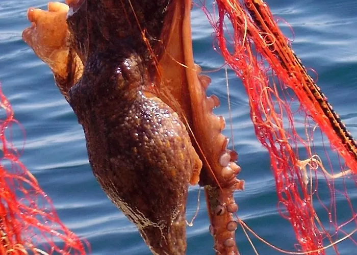 Seaside Secluded Cove Rasohatica, Korcula - 5453 公寓