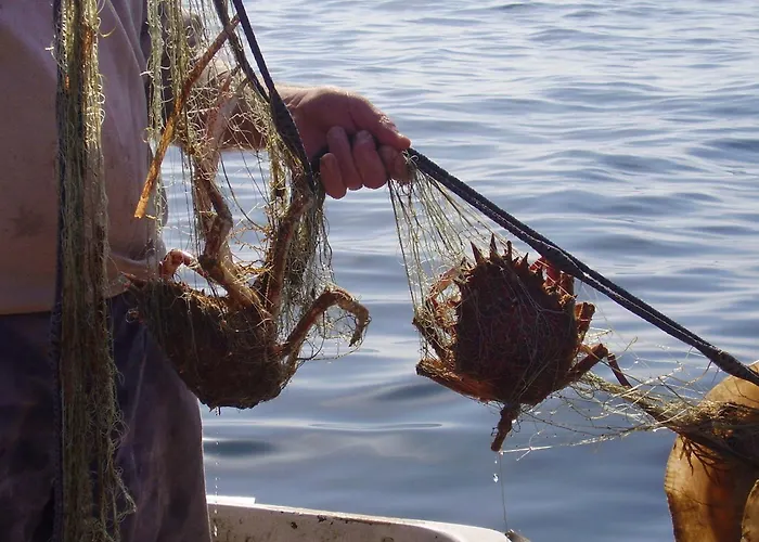 Seaside Secluded Cove Rasohatica, Korcula - 5453 公寓